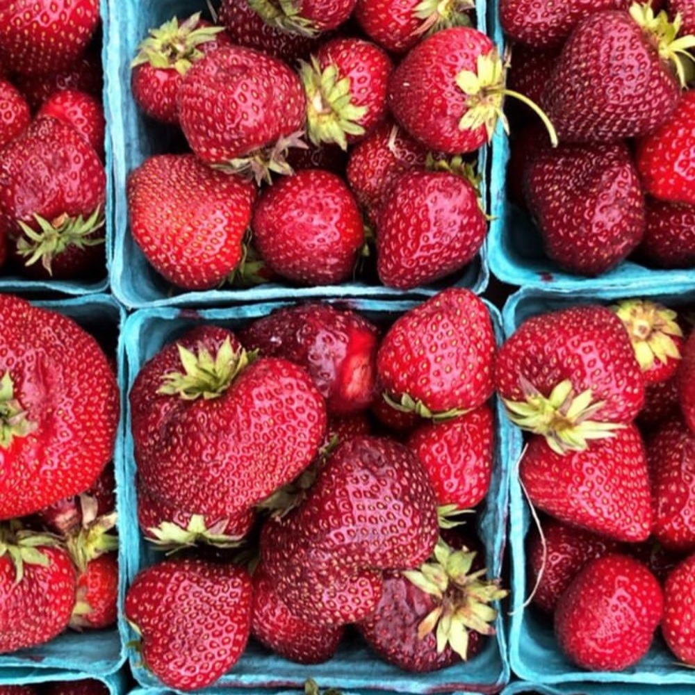 Meet your Posher, Till death